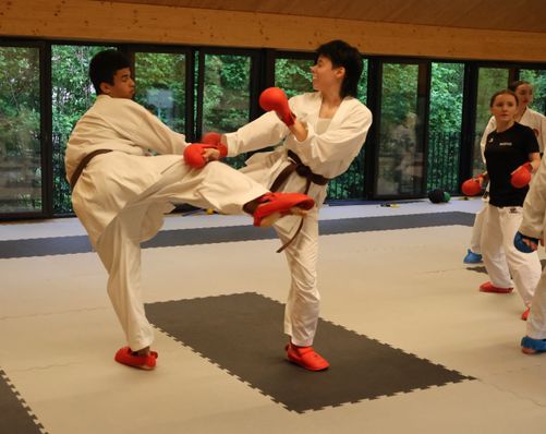 Zum Abschluss noch etwas Kumite